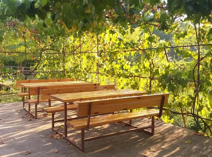 Zalan Vendeghaz בית הארחה *